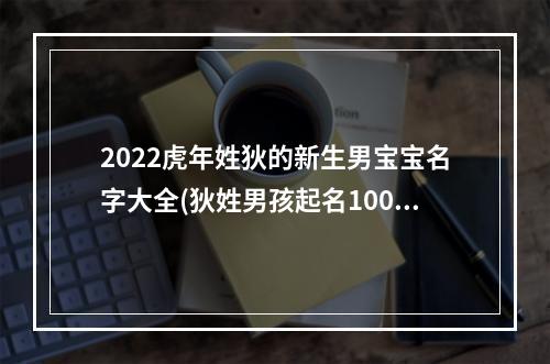 2022虎年姓狄的新生男宝宝名字大全(狄姓男孩起名100分)