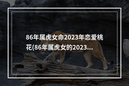 86年属虎女命2023年恋爱桃花(86年属虎女的2023年怎么样)