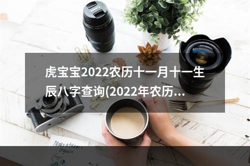 虎宝宝2022农历十一月十一生辰八字查询(2022年农历十一月份的虎宝宝)