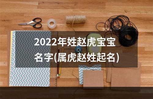 2022年姓赵虎宝宝名字(属虎赵姓起名)