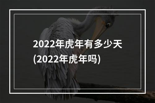 2022年虎年有多少天(2022年虎年吗)