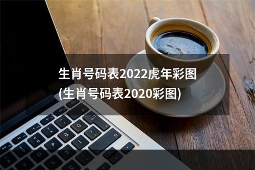 生肖号码表2022虎年彩图(生肖号码表2020彩图)