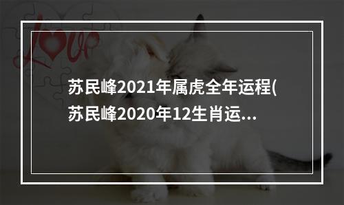 苏民峰2021年属虎全年运程(苏民峰2020年12生肖运势)