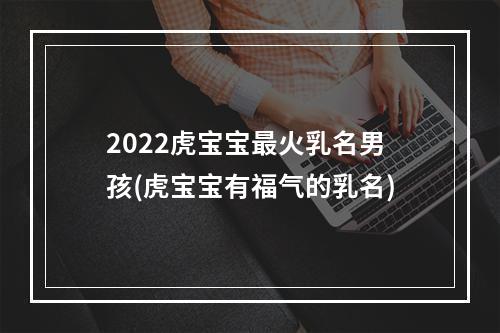 2022虎宝宝最火乳名男孩(虎宝宝有福气的乳名)