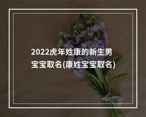 2022虎年姓康的新生男宝宝取名(康姓宝宝取名)