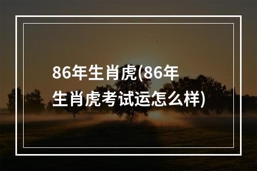 86年生肖虎(86年生肖虎考试运怎么样)