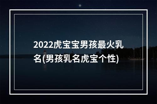 2022虎宝宝男孩最火乳名(男孩乳名虎宝个性)