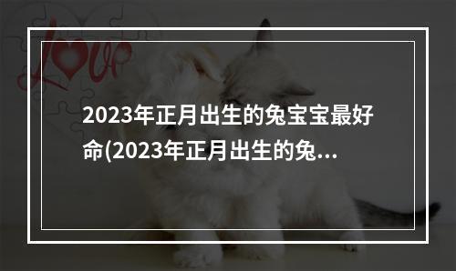 2023年正月出生的兔宝宝最好命(2023年正月出生的兔宝宝最好命)