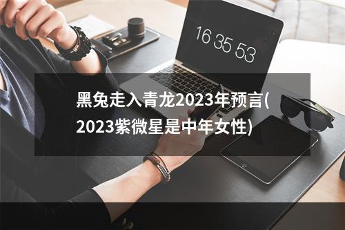 黑兔走入青龙2023年预言(2023紫微星是中年女性)