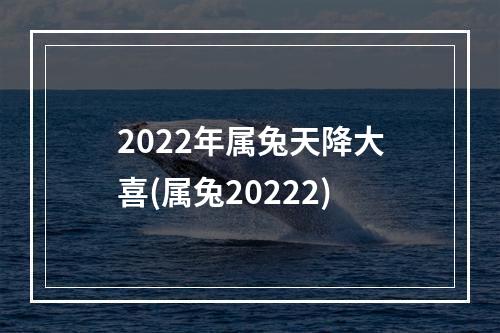 2022年属兔天降大喜(属兔20222)