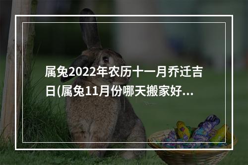 属兔2022年农历十一月乔迁吉日(属兔11月份哪天搬家好)