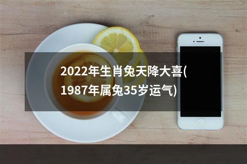 2022年生肖兔天降大喜(1987年属兔35岁运气)