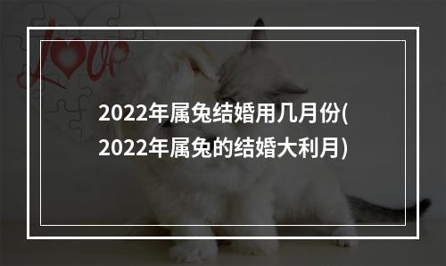2022年属兔结婚用几月份(2022年属兔的结婚大利月)