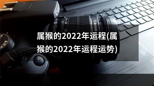 属猴的2022年运程(属猴的2022年运程运势)