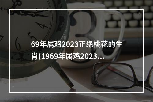 69年属鸡2023正缘桃花的生肖(1969年属鸡2023年)
