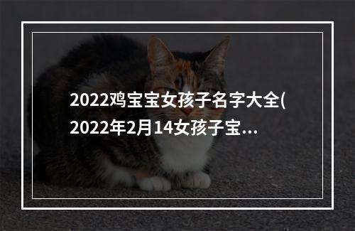 2022鸡宝宝女孩子名字大全(2022年2月14女孩子宝宝取名字)