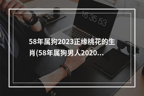 58年属狗2023正缘桃花的生肖(58年属狗男人2020年桃花运好吗)