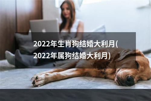 2022年生肖狗结婚大利月(2022年属狗结婚大利月)