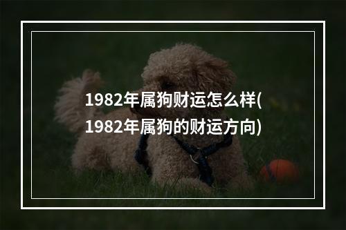 1982年属狗财运怎么样(1982年属狗的财运方向)