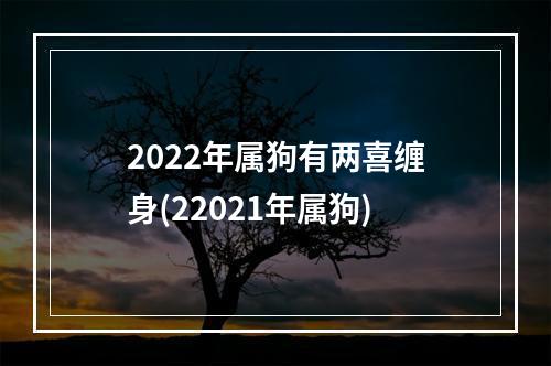 2022年属狗有两喜缠身(22021年属狗)