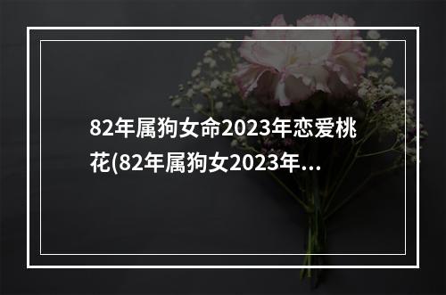 82年属狗女命2023年恋爱桃花(82年属狗女2023年怎么样)