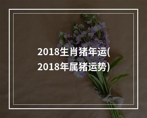 2018生肖猪年运(2018年属猪运势)