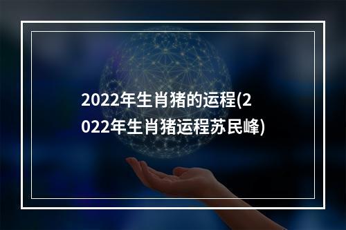 2022年生肖猪的运程(2022年生肖猪运程苏民峰)