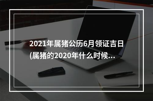 2021年属猪公历6月领证吉日(属猪的2020年什么时候领证好)