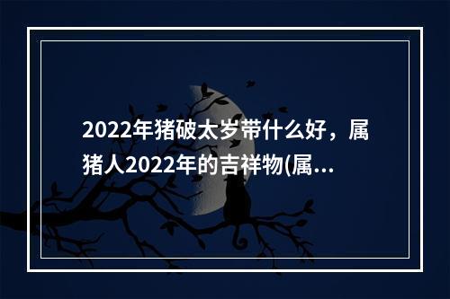 2022年猪破太岁带什么好，属猪人2022年的吉祥物(属猪人破太岁)