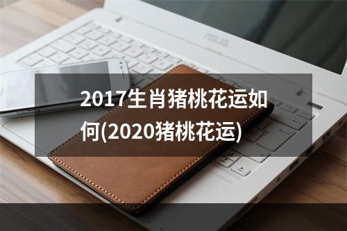 2017生肖猪桃花运如何(2020猪桃花运)