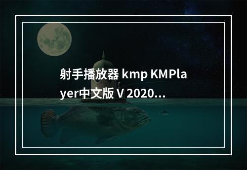 射手播放器 kmp KMPlayer中文版 V 2020.06.09 官方版官方版 射手女在谁的心里排NO.1