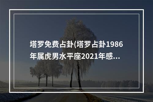 塔罗免费占卦(塔罗占卦1986年属虎男水平座2021年感情运势)