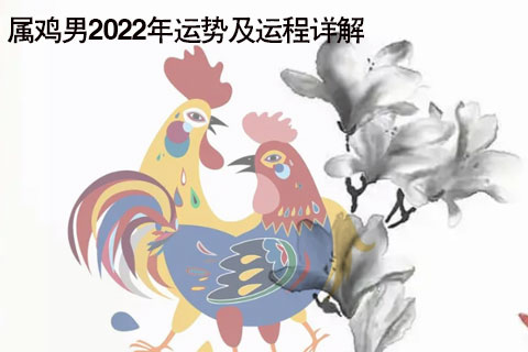 属鸡人2022年每月运势星座屋的简单介绍