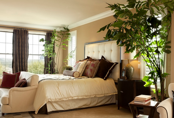卧室风水植物_风水卧室植物_卧室适合养什么花或植物风水