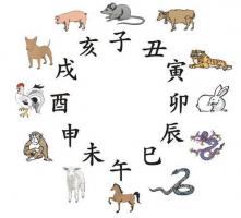 第一章　中国的风水文化（16） 生肖鼠的幸运数字是什么？